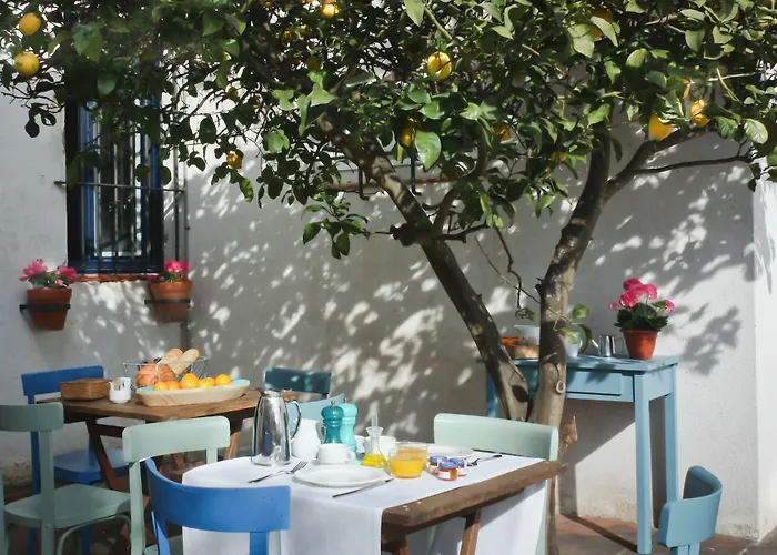 Casa Calella Bed & Breakfast Calella De Palafrugell